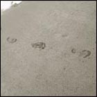 foot, ocean, beach, foot in water at beach, water, summer, sea, ocean beach, sand, footprints on sand, footprints, san francisco, california